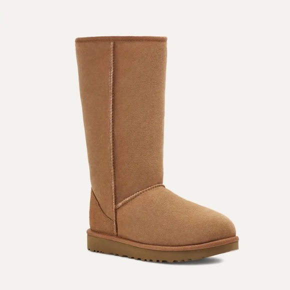 UGG Shoes - Uggs